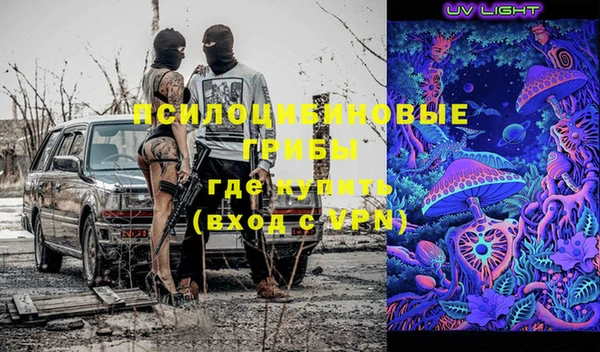 прущий лед Алзамай