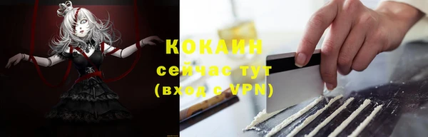 сатива Абинск