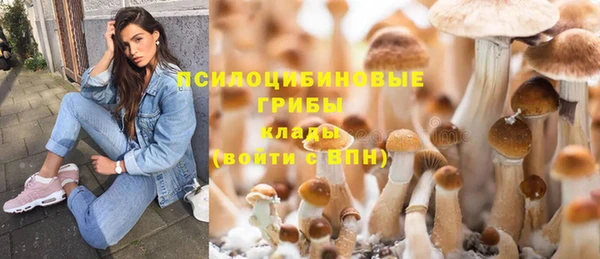 гашик Абаза
