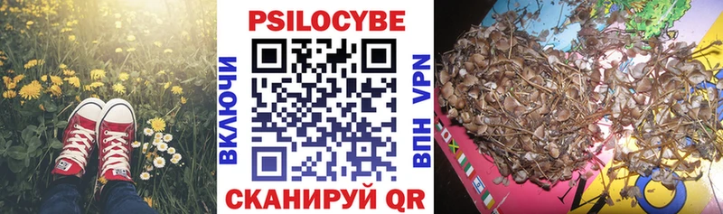 Псилоцибиновые грибы Cubensis  Алагир 