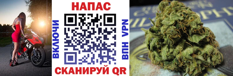где найти наркотики  Алагир  Шишки марихуана White Widow 